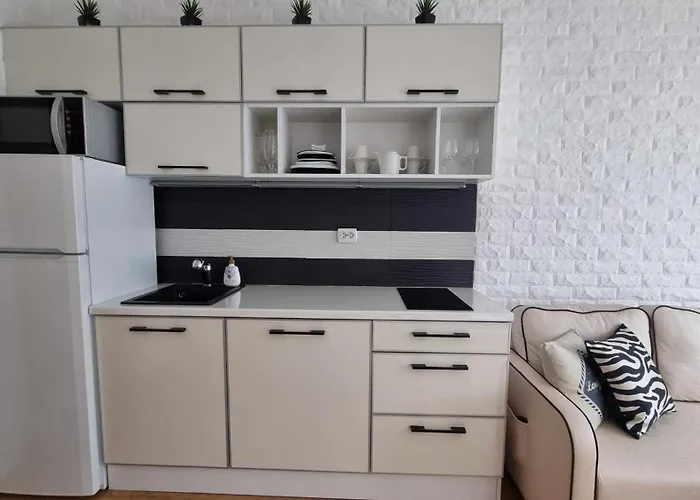 апарамент за гости романс марин Slăntjev Brjag